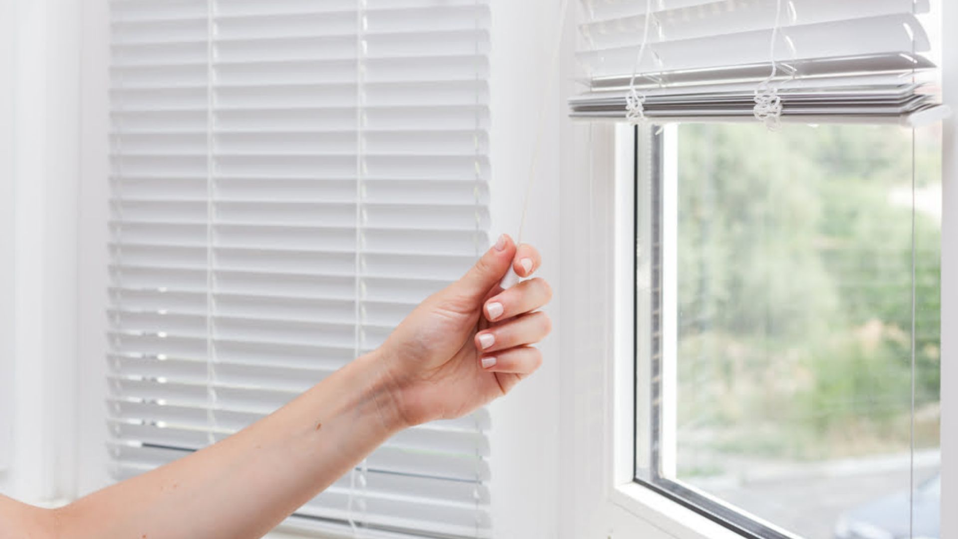 Why Window Blinds Are Essential